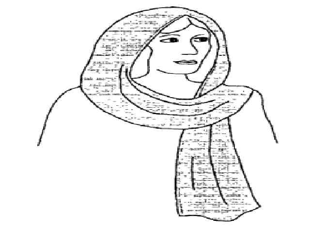 anghood.jpg (20771 bytes)