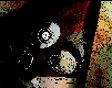 dalvtkrc.jpg (14819 bytes)